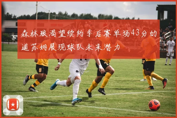 森林狼渴望续约季后赛单场43分的道苏姆展现球队未来潜力