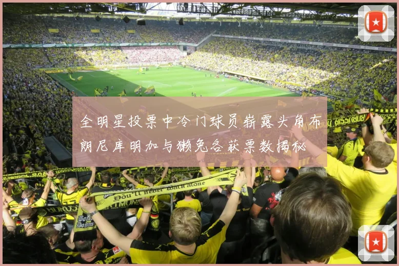 全明星投票中冷门球员崭露头角布朗尼库明加与獭兔各获票数揭秘